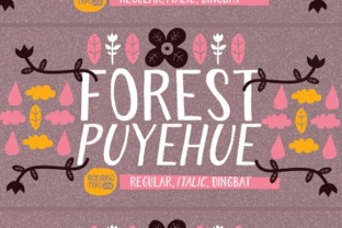 Forest Puyehue: A Handmade Sans Serif Typeface with Soul