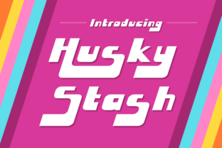 Husky Stash: A Greasy Funk Font with Editorial Charm