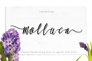 Molluca: A Handwritten Font That Makes Your Brand Feel Human