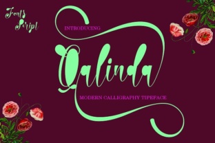 Qalinda: A Script Handwritten Font That Makes Your Headlines Stand Out