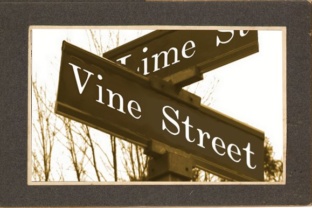 Vine Street Serif Font for Handmade Creators
