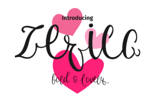 Zerica Script: A Designer’s Real-World Review